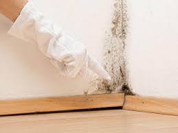 Best Mold Prevention Services  in Limon, CO